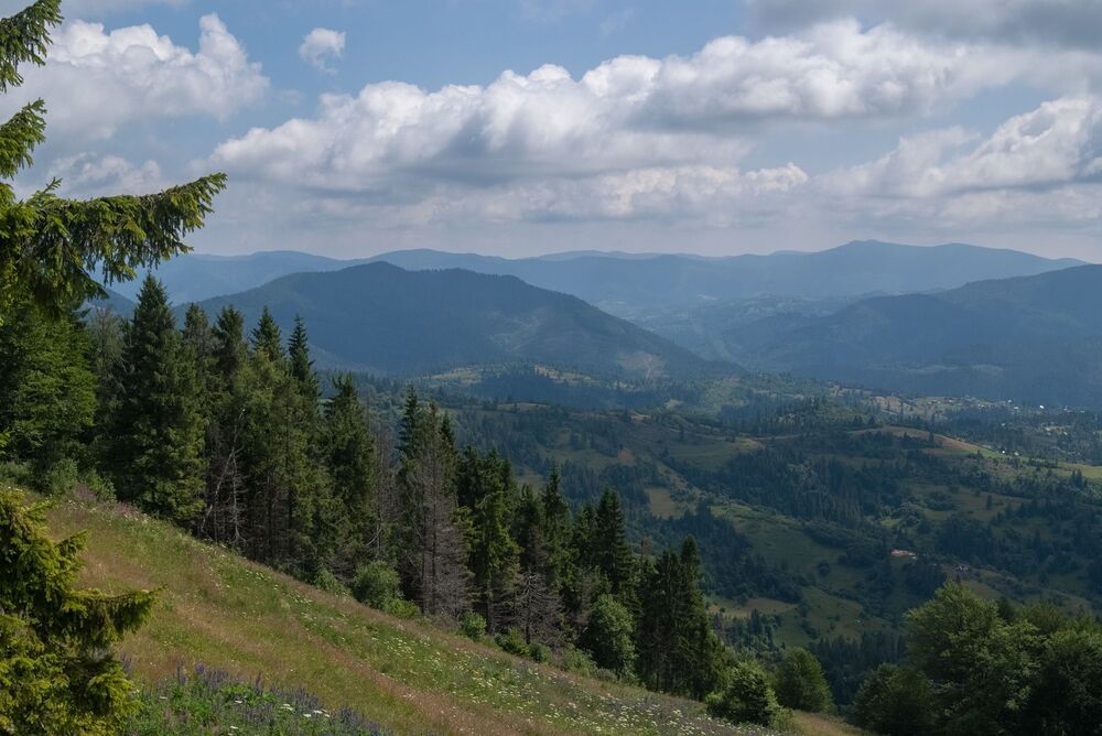 летом в Славском