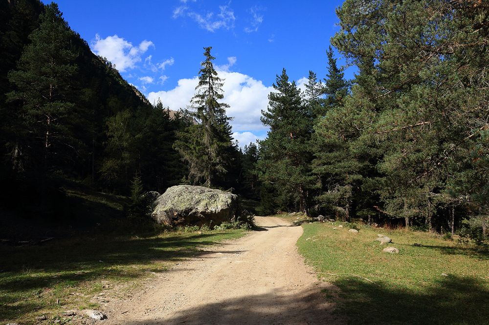 Photo 1518969