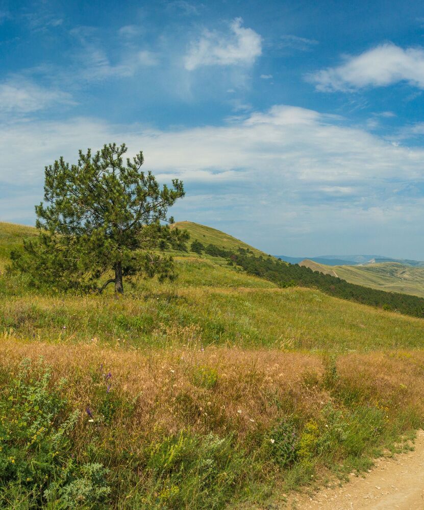 Коктебельские панорамы