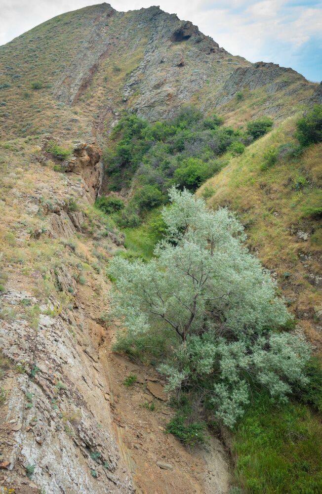 Коктебельские панорамы