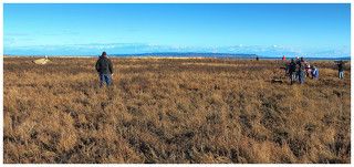 Великолепна гора Бэйкер при закате. Но наши стволы нацелены не туда. Там кстати Бен живёт. Hi Ben. Наши объективы смотрят вон на то маленькое белое пятнышко на корявом пне.