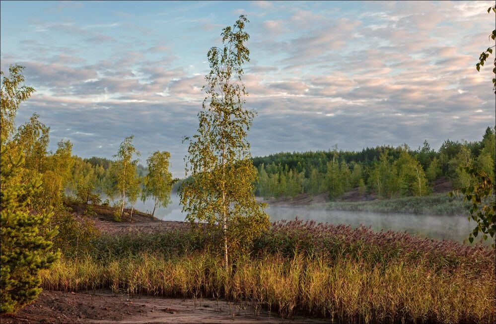 Утро на лесном озере