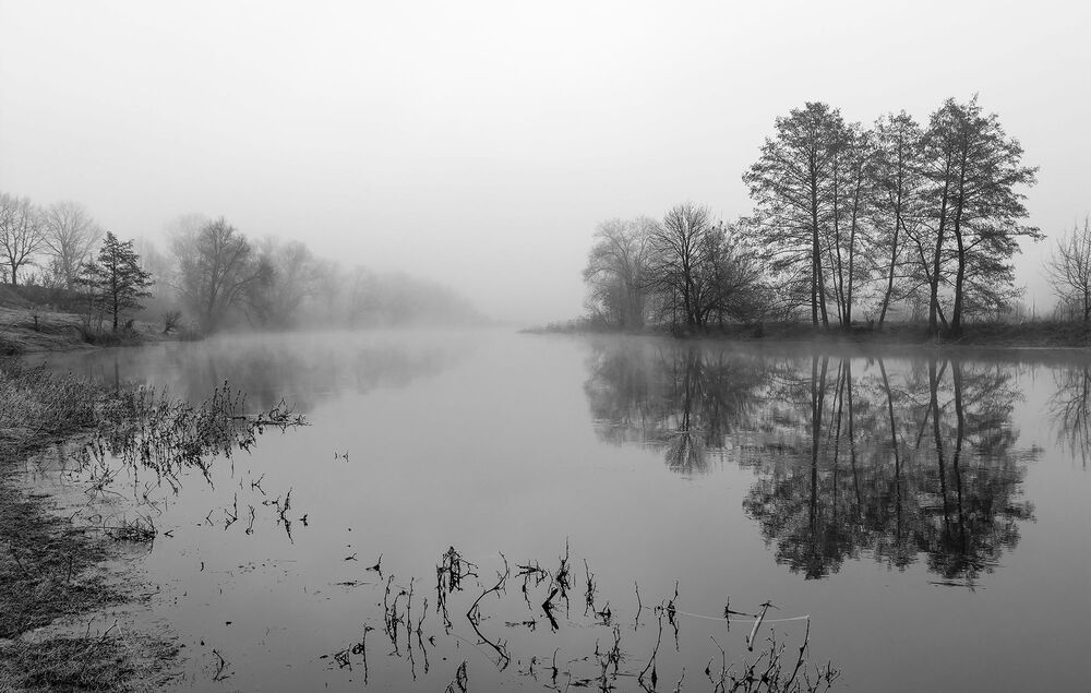 Photo 1521176