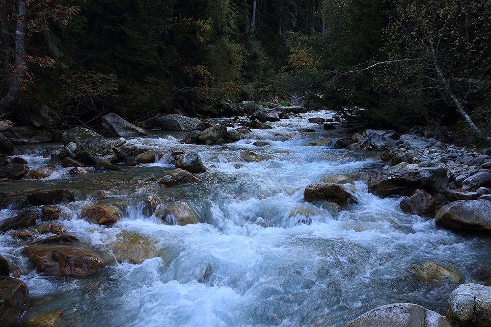 Photo 1521341
