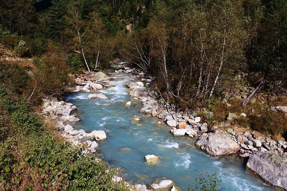 Photo 1521346