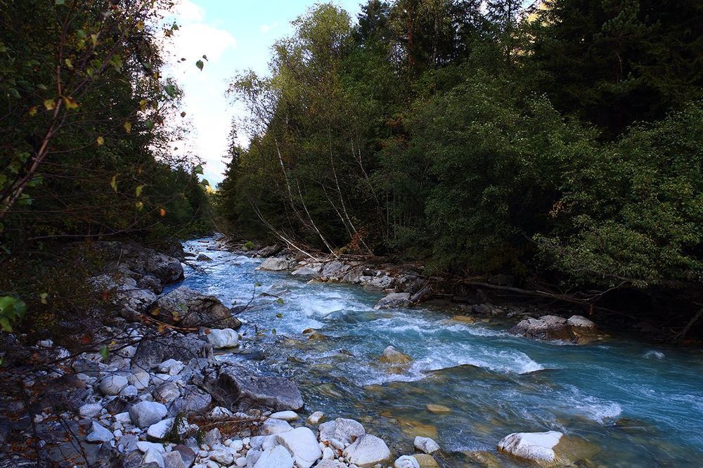Photo 1521348