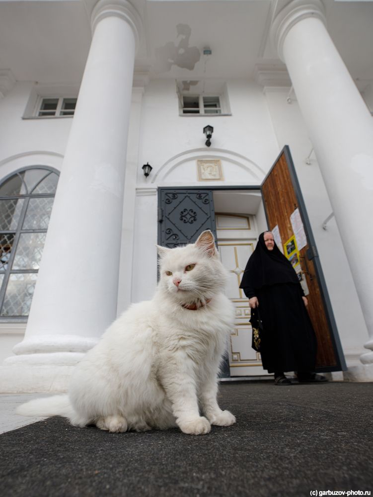 Котейка при Соборе Иконы Божией Матери Казанская, Ярославль.