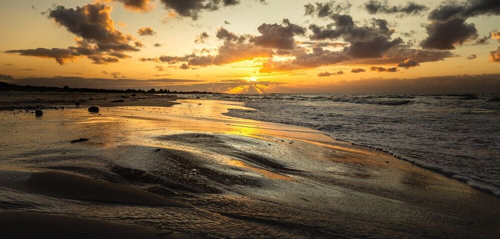 Baltic Sea shore