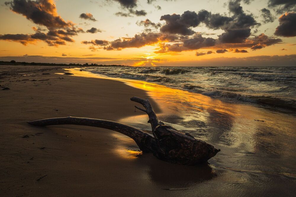 Baltic Sea shore