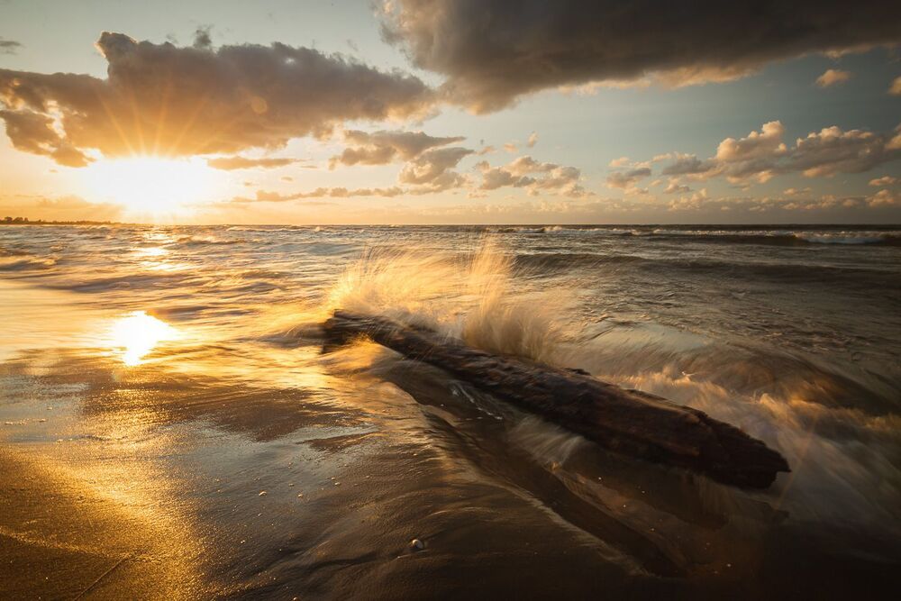 Baltic Sea shore