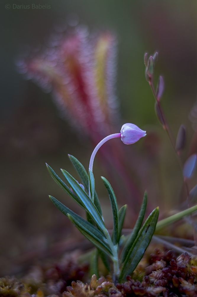 Photo 1522455