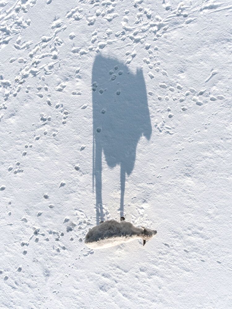 Drone Photography