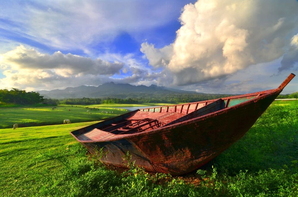 Enchantment of Indonesian Nature