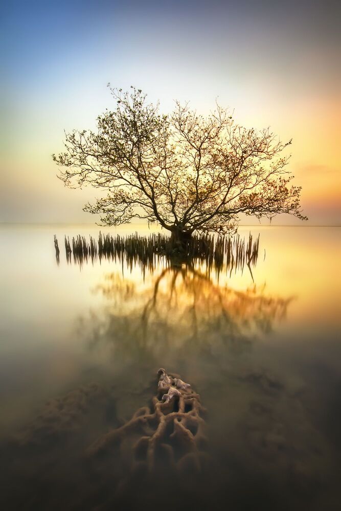 Enchantment of Indonesian Nature