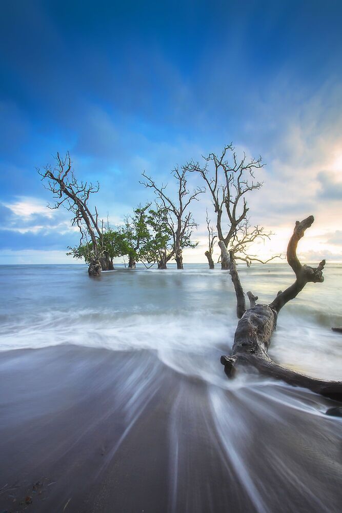 Enchantment of Indonesian Nature
