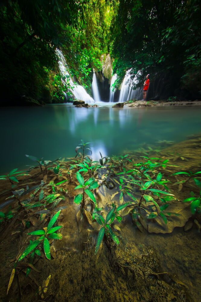 Enchantment of Indonesian Nature