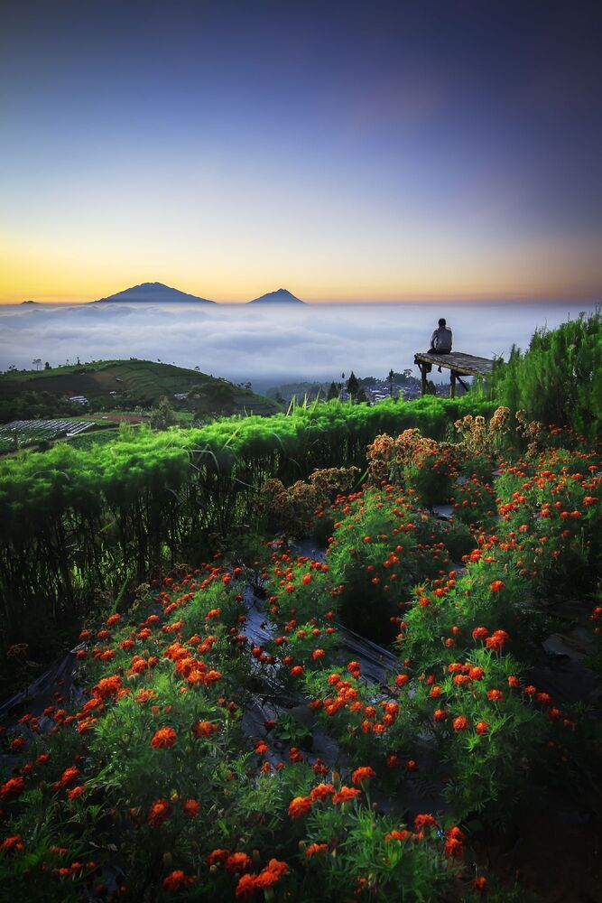 Enchantment of Indonesian Nature