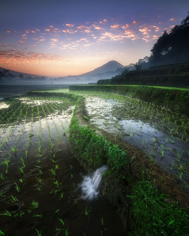 Enchantment of Indonesian Nature