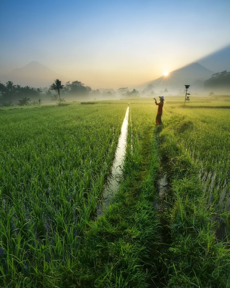 Enchantment of Indonesian Nature