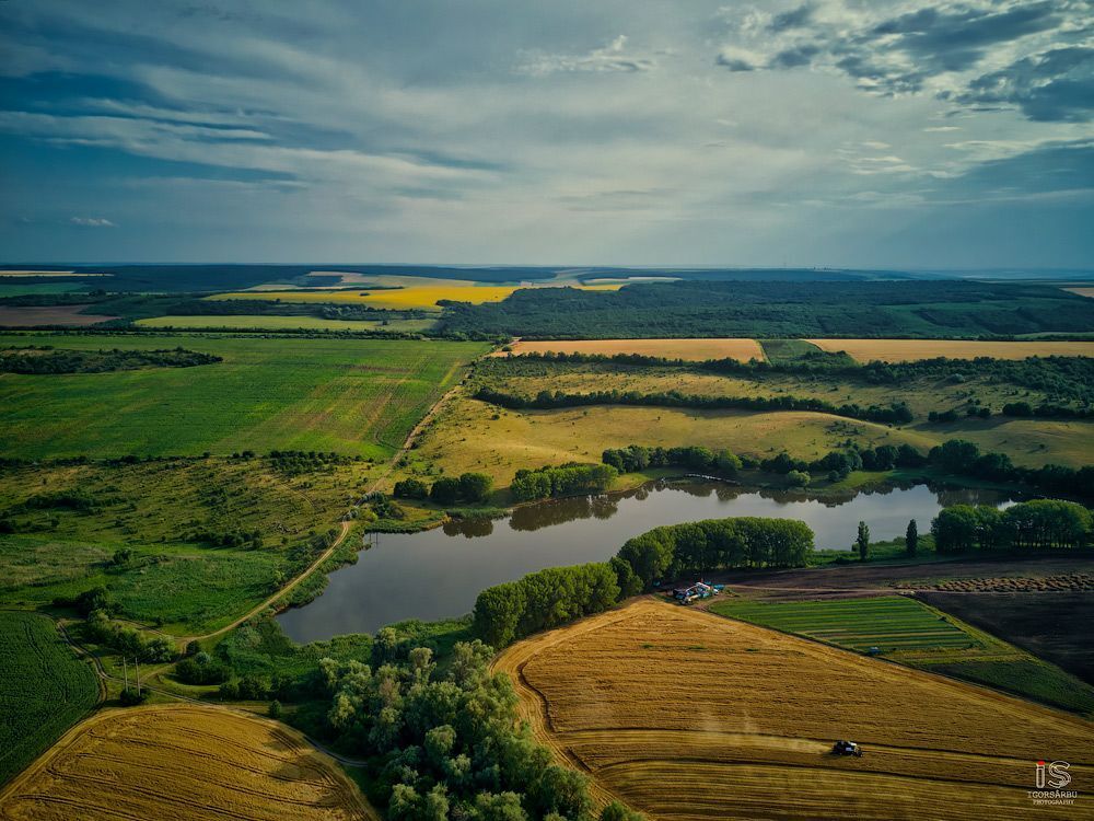 Summer lands