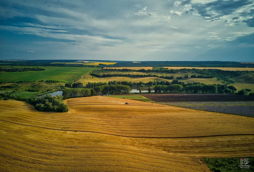 Summer lands