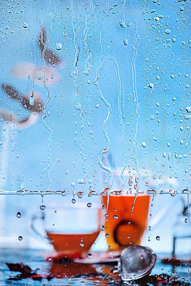 Rainy day