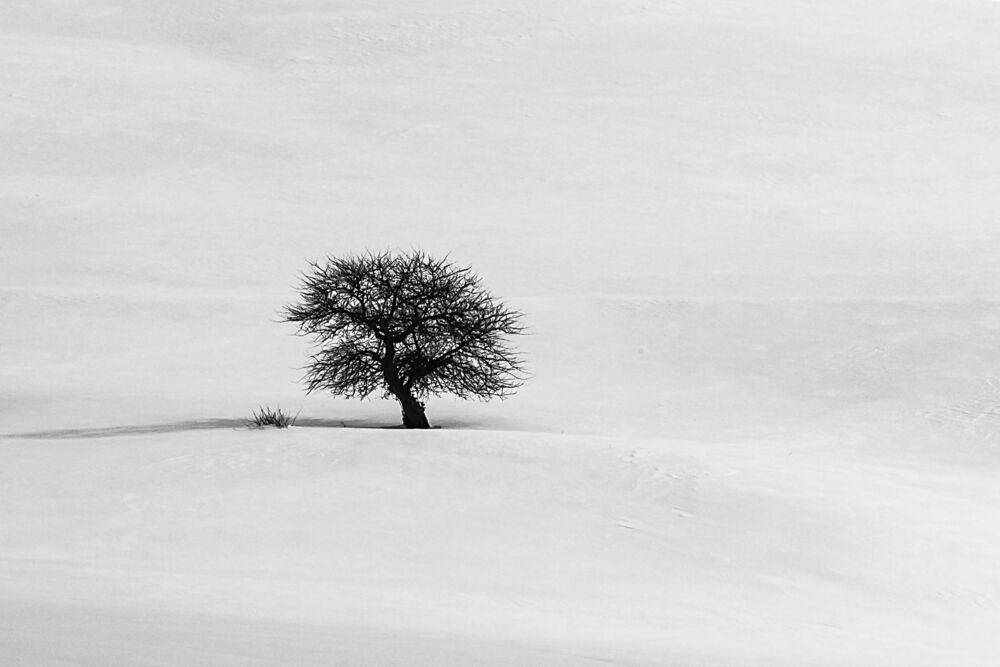 IMPRESSIONS