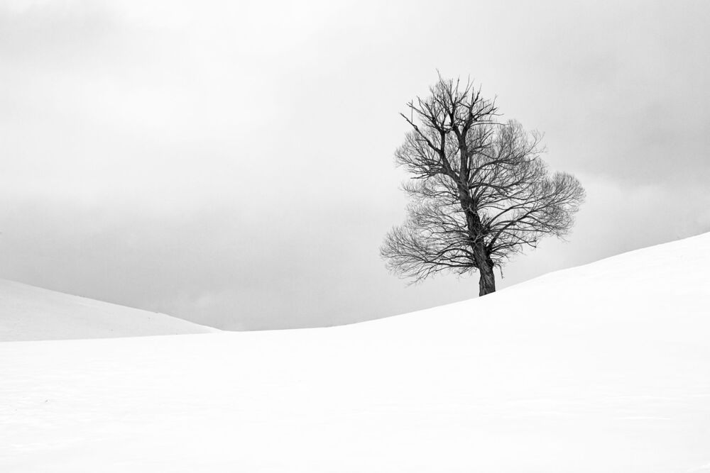 IMPRESSIONS