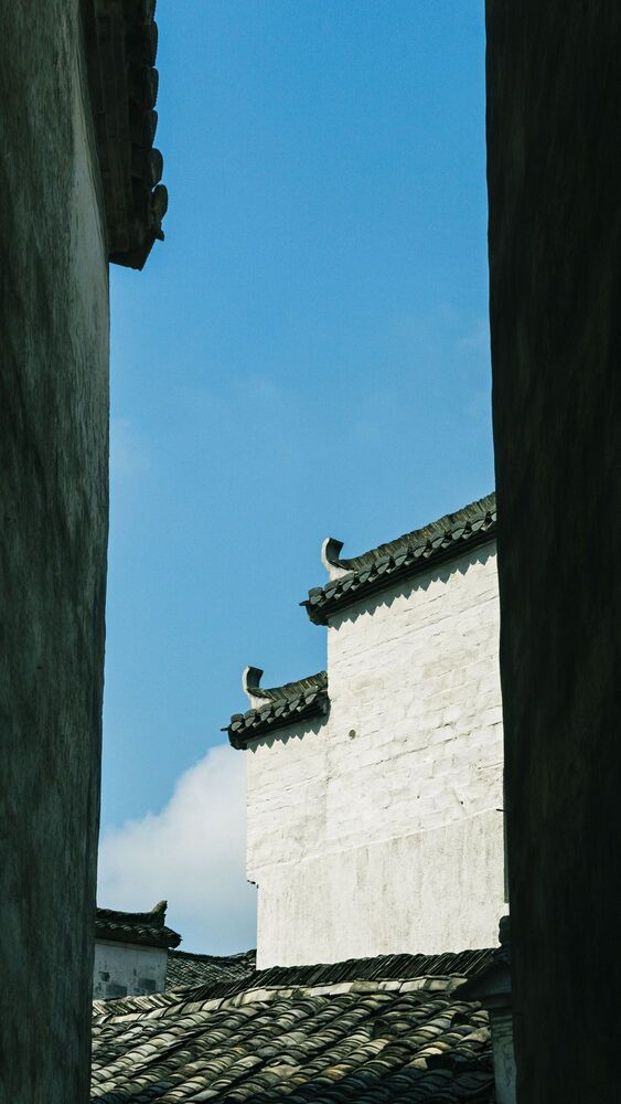 Photo 1526610