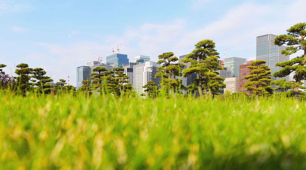 Tokyo