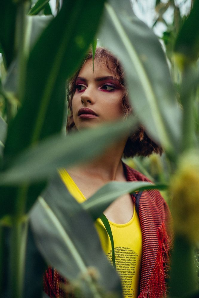 tropical