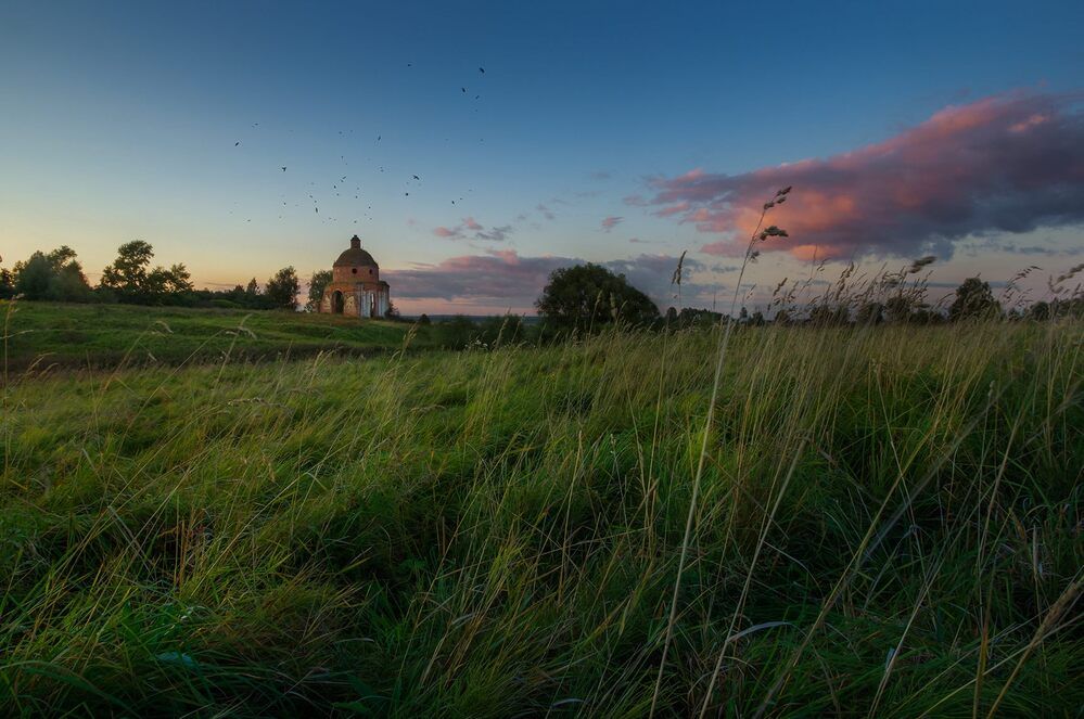 Август