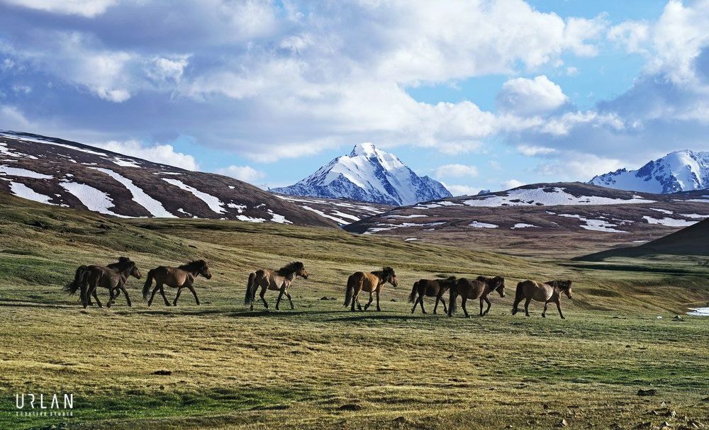 Mongolian western region