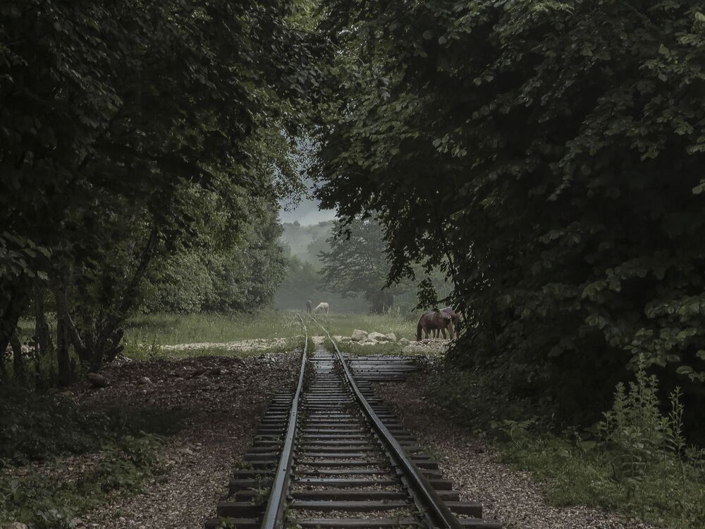 Photo 1529641