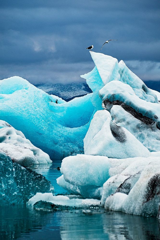 [icebergs of the glacier lagoon]