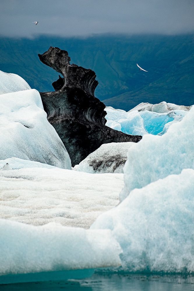 [icebergs of the glacier lagoon]