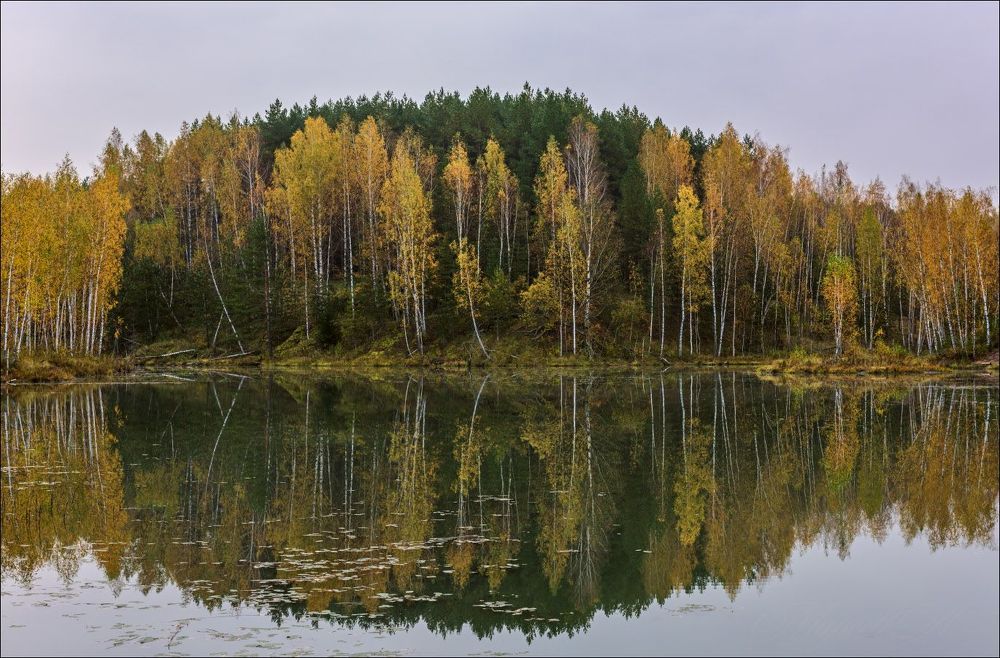 Сосновый холм в октябре, с молочным небом.