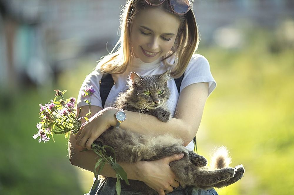 Деревенские истории