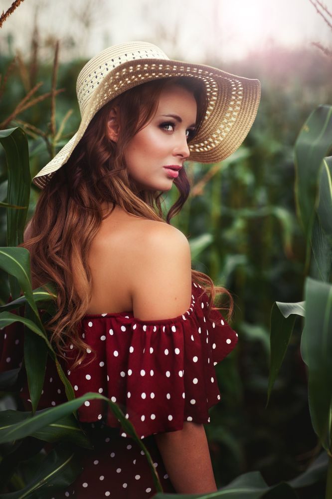 Field