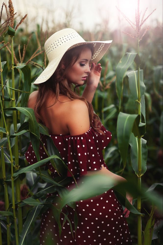Field
