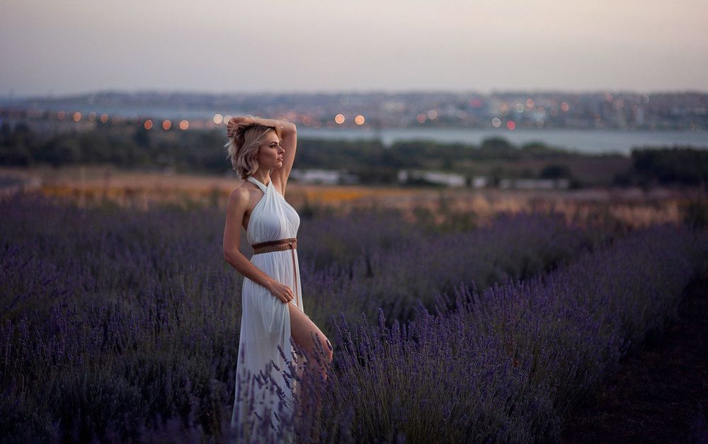 Lavander