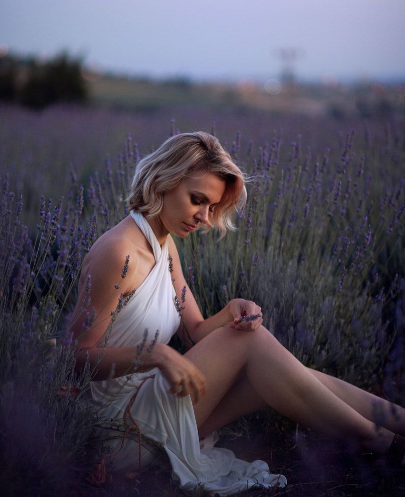 Lavander