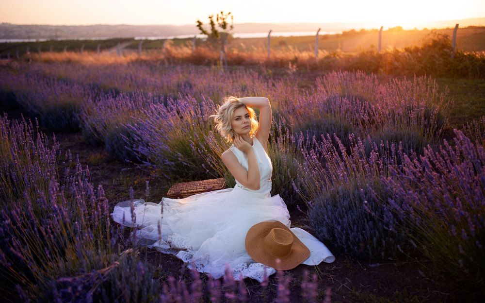 Lavander