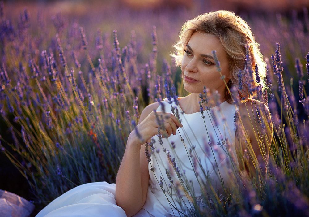 Lavander
