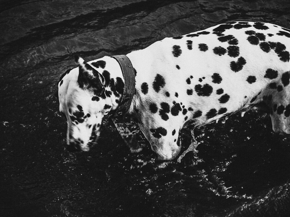 Photo 1533709