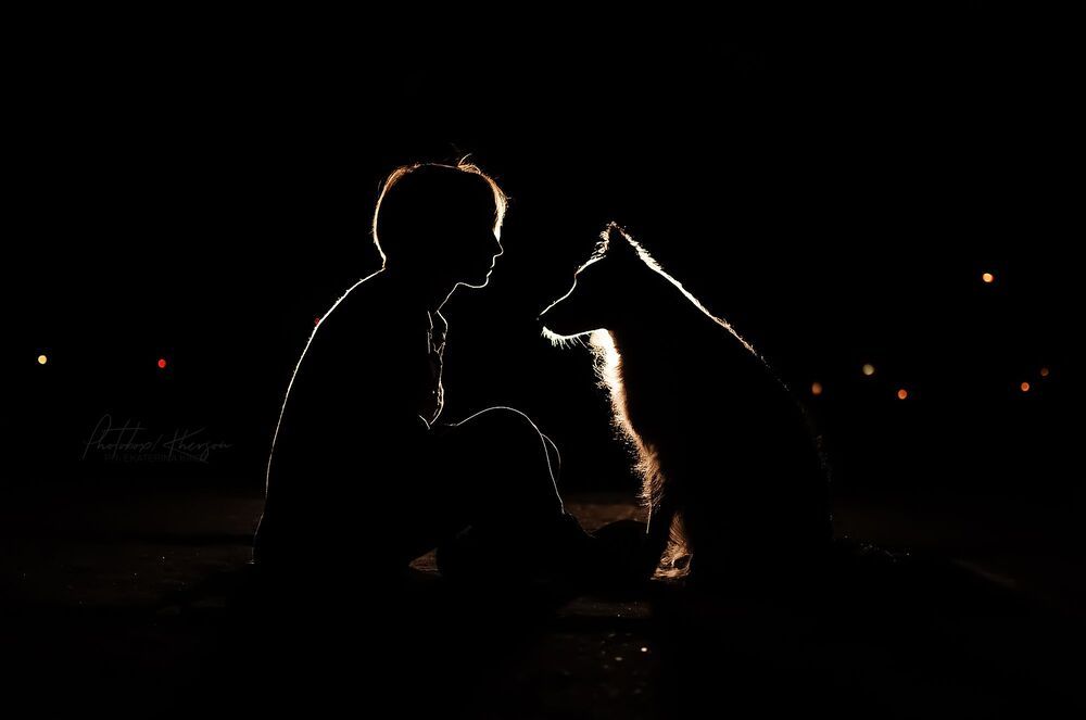 Night dogs
