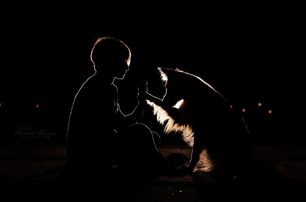 Night dogs