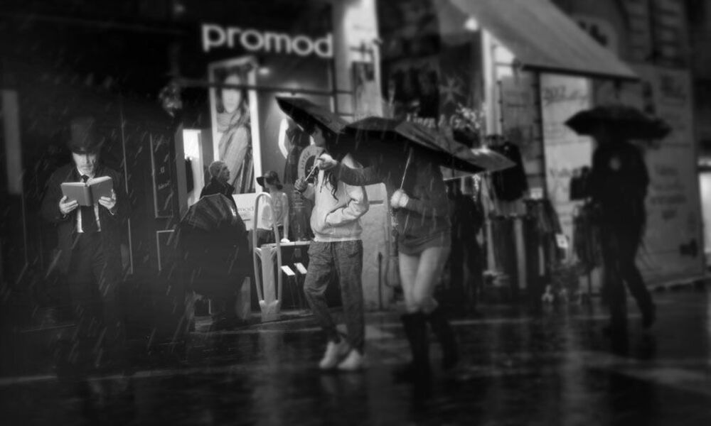 Photo 1533825