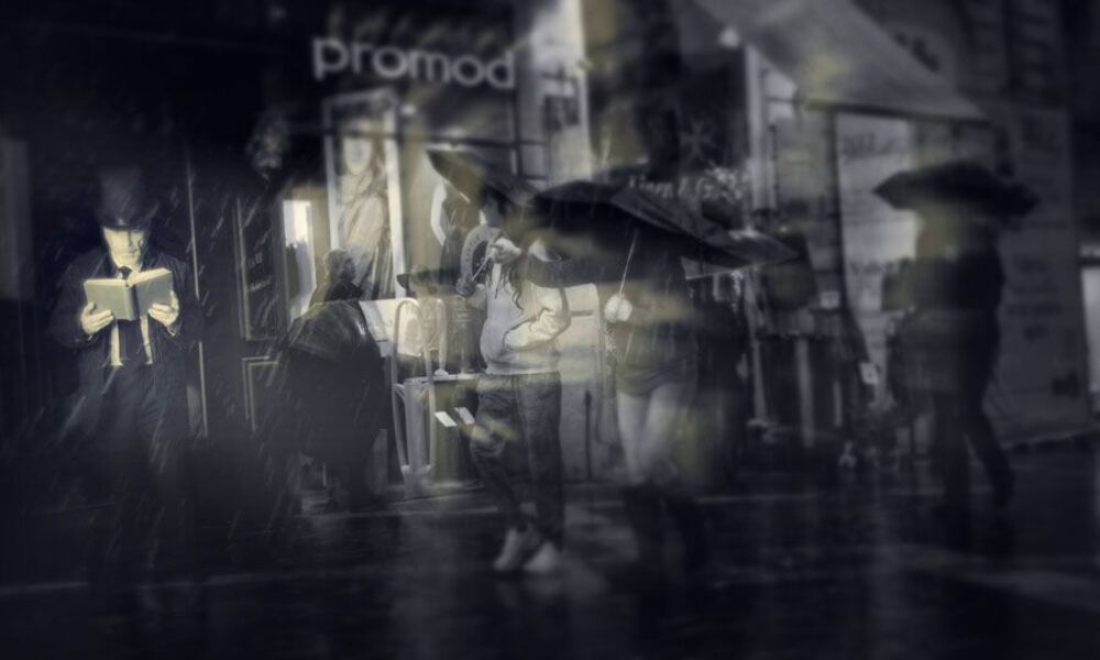 Photo 1533826