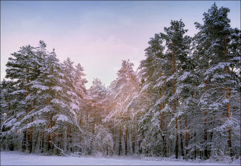 ---= winter about =---